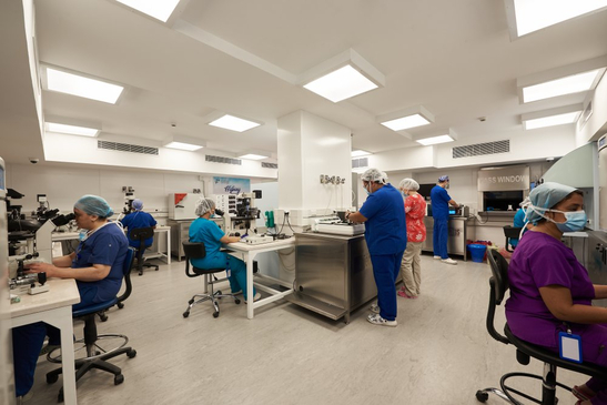 Slider image (3) The Egyptian IVF Center in Cairo Egypt